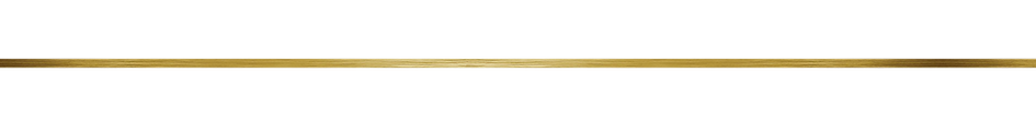 GOLD LINE.png