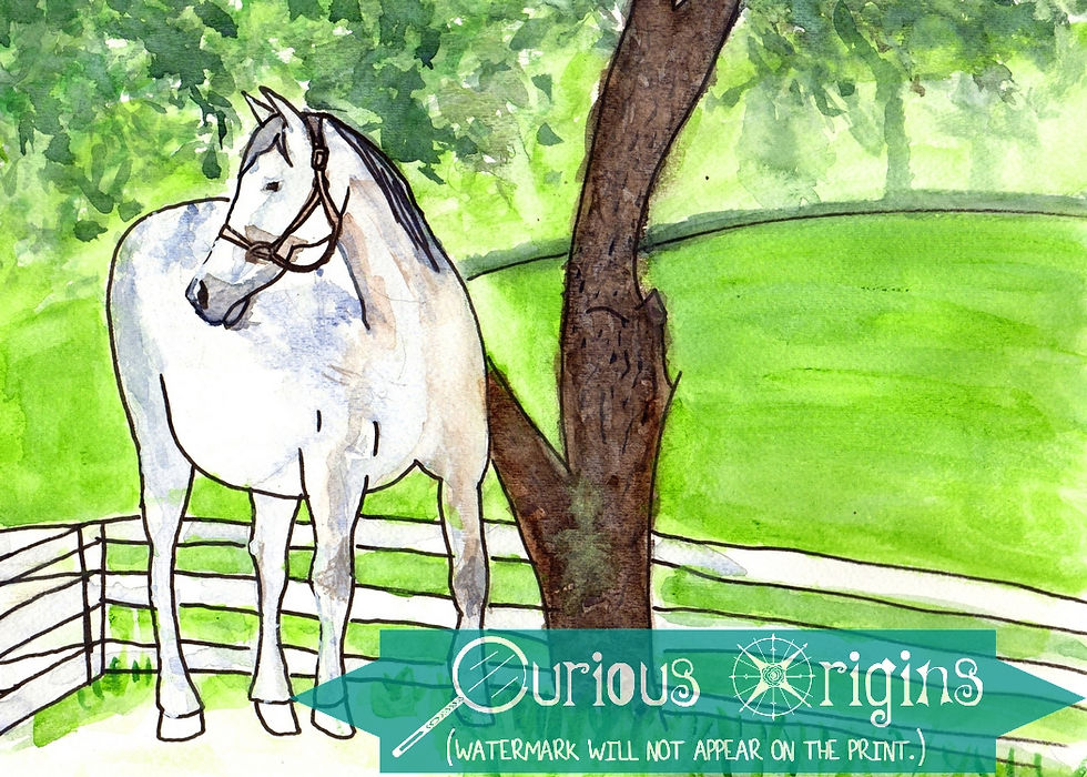 Thumbnail: Keen In Green Horse 5"x7" or 127 mm by 177.8 mm