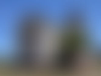 Voices of Sequim: Community Perspectives on Local and National Issues