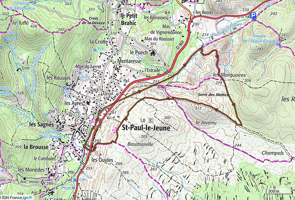 Parcours 5km site.png