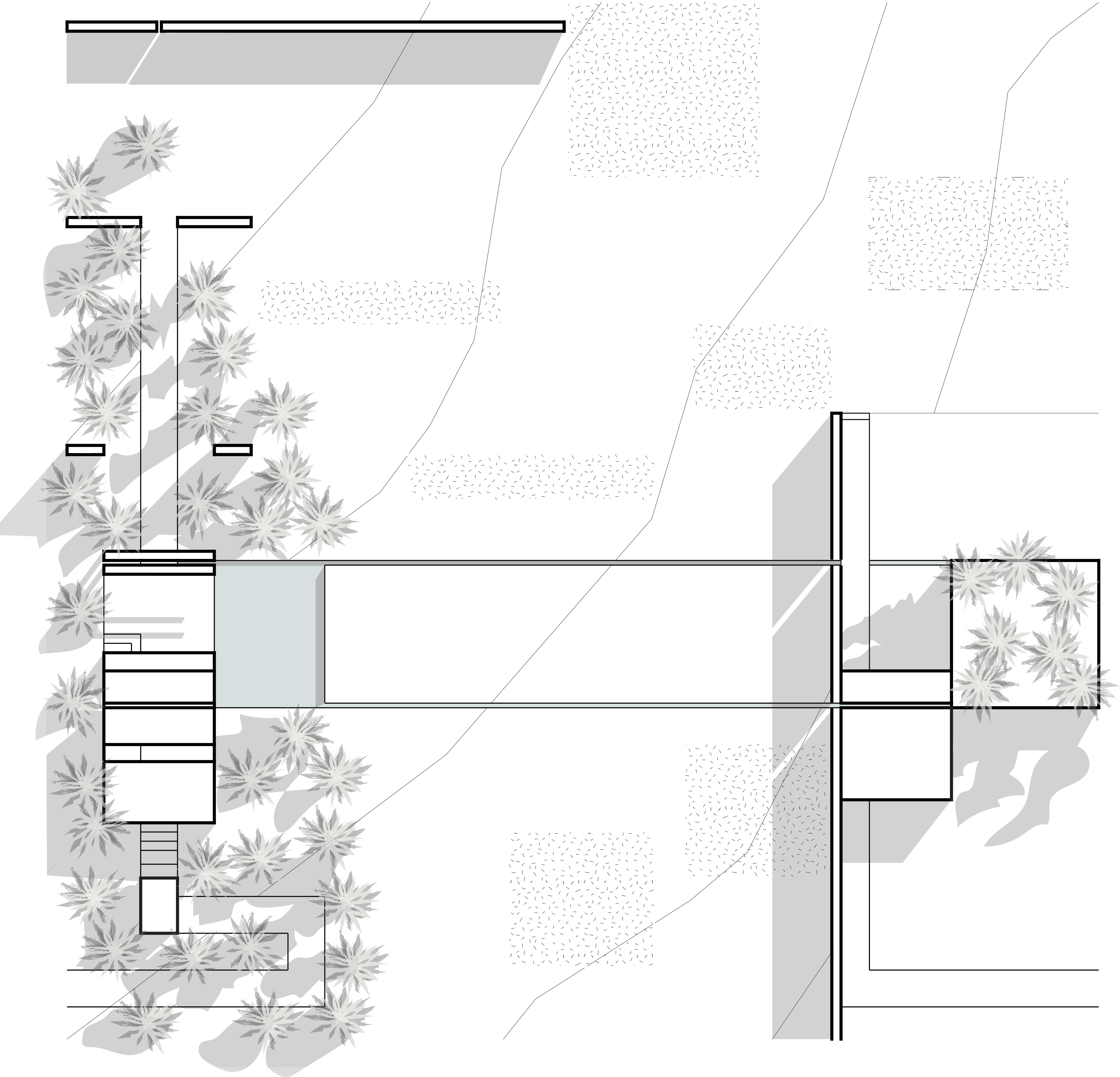 PLan-1.-circula.gif