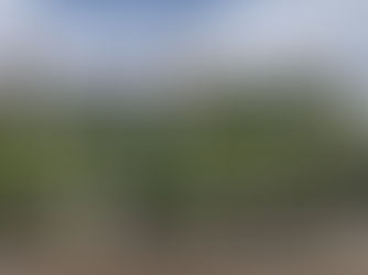 A beautiful looking hotel with ivy covering the front of it, in East Lothian, Scotland.