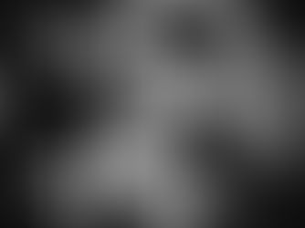 Tavistock Gastropub Is One Of The Best In The Whole Of The UK