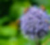 Donation To Support Environmental Education