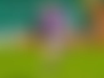 Morrall Signs New Deal Lightning