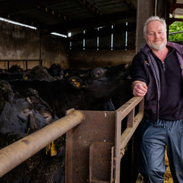 M&S Invests £2.1Bn To Extend Its Commitment To British Lamb And Beef
