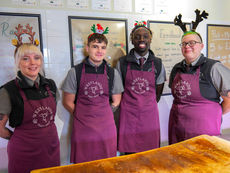 Traditional Geese Missing From Menus This Christmas