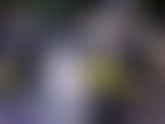 Wheelchair Rugby Receives Support from Charitable Trust 