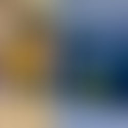 Regal Food Products Group Opens New Multi-Faith Room At Leeds