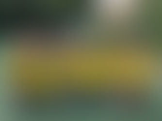 Ashfield Football Academy Festival Empowers Young People