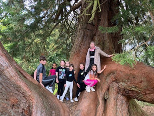 A group of young children standing on a very large tree in Scotland.