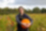 Hampshire Farm-Grown Pumpkin Shortage Caused By Weather