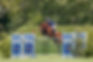 A New Era For Hickstead With Historic Agria Deal
