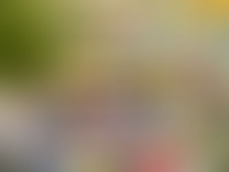 Record Haul Of Toys Set To Bring Festive Cheer To Communities