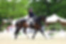 Baker Makes Winning Return To The Dressage Arena