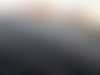 A large roof covered with solar panels.