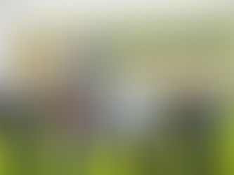 JCB Team Unveils Poignant Remembrance Day Tribute