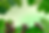 Banner Image.png