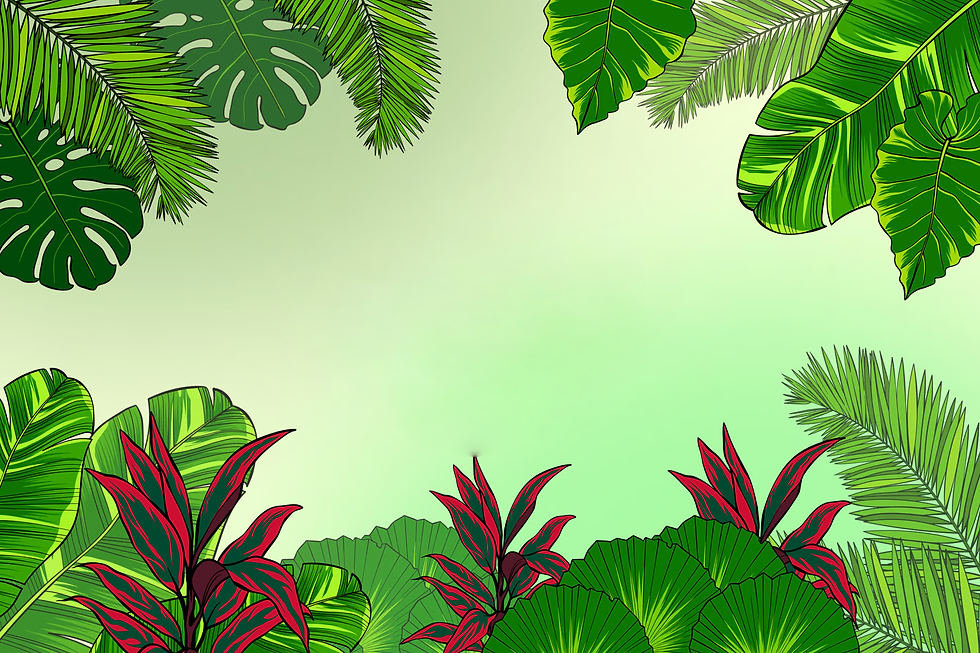 Banner Image.png