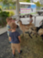 127890367_3695257037208151_1483025397604299929_n.jpg