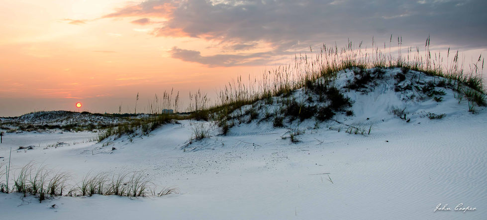 Dune Sunrise 10 Aug 24 website