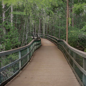 Turkey Creek Boardwalk
