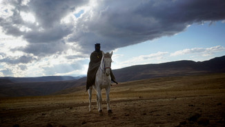 untitled image