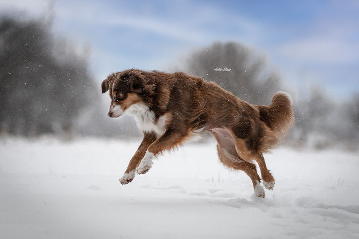 11984c2a-7cf9-464b-8209-8e323f1f57d6_rw_1920.jpeg
