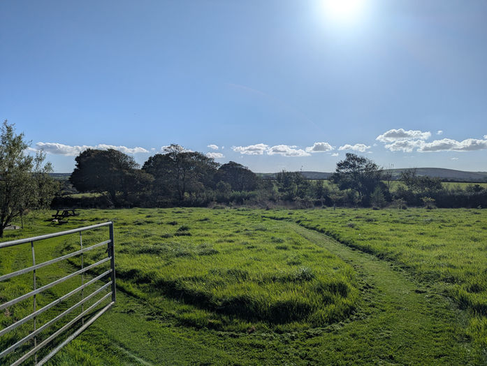 A third view of Trewithen Farm's secluded meadow