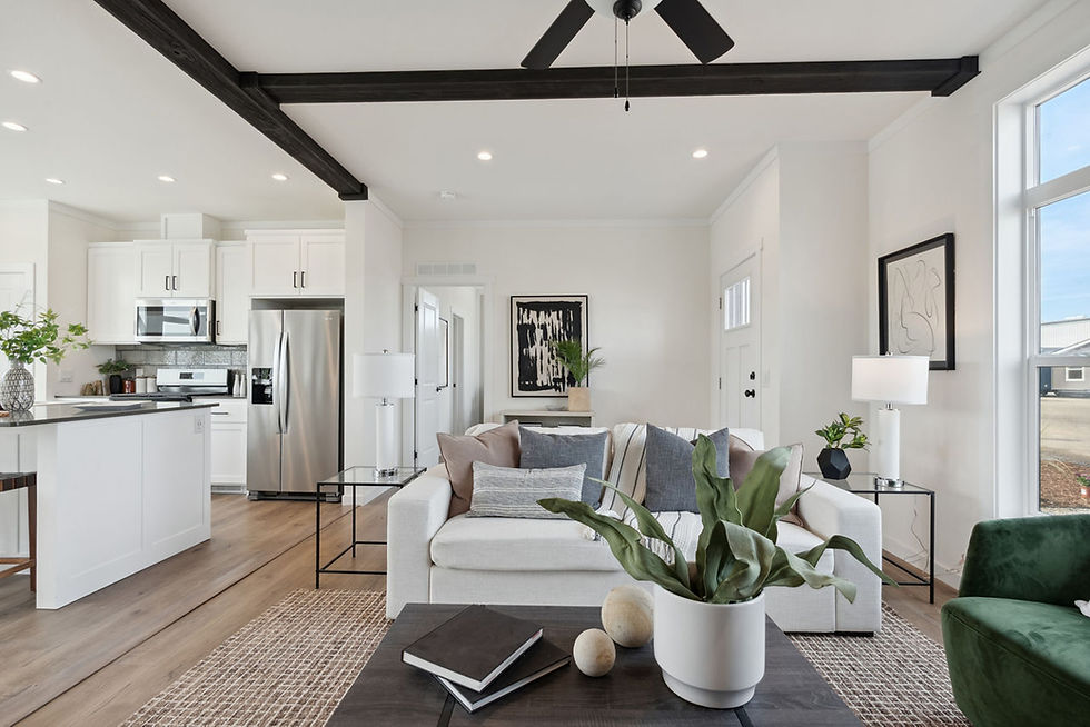 Thumbnail: KRITZER 009