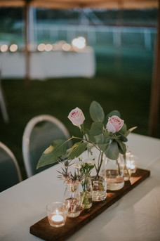 Lucy Sheedy Photographer