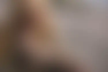 Getting Started with Smoking Wax: A Beginner's Guide to Dabbing and Cannabis Concentrates