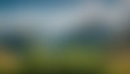 Getting Lifted: The Top Cannabis Strains to Boost Your Workout Game