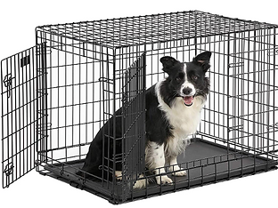 Screenshot 2022-07-15 133946.png