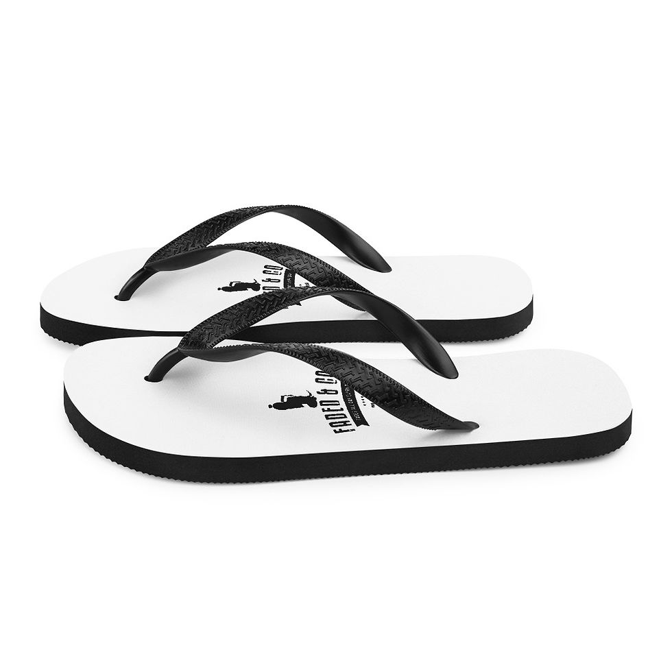 Thumbnail: Flip-Flops