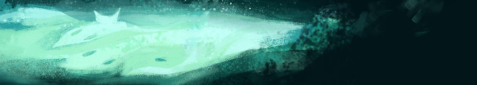 site internet contact.png