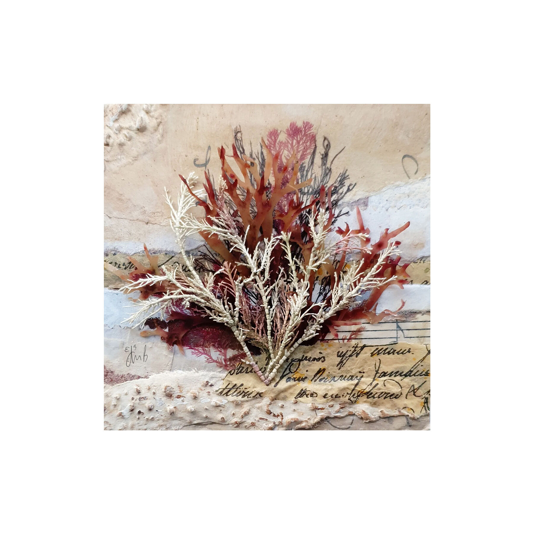 Fine Art Giclée Print - Seaweed mixed media collage