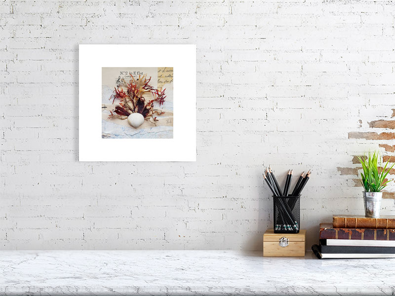 Thumbnail: Fine Art Giclée Print - Seaweed, shell and sheet music collage