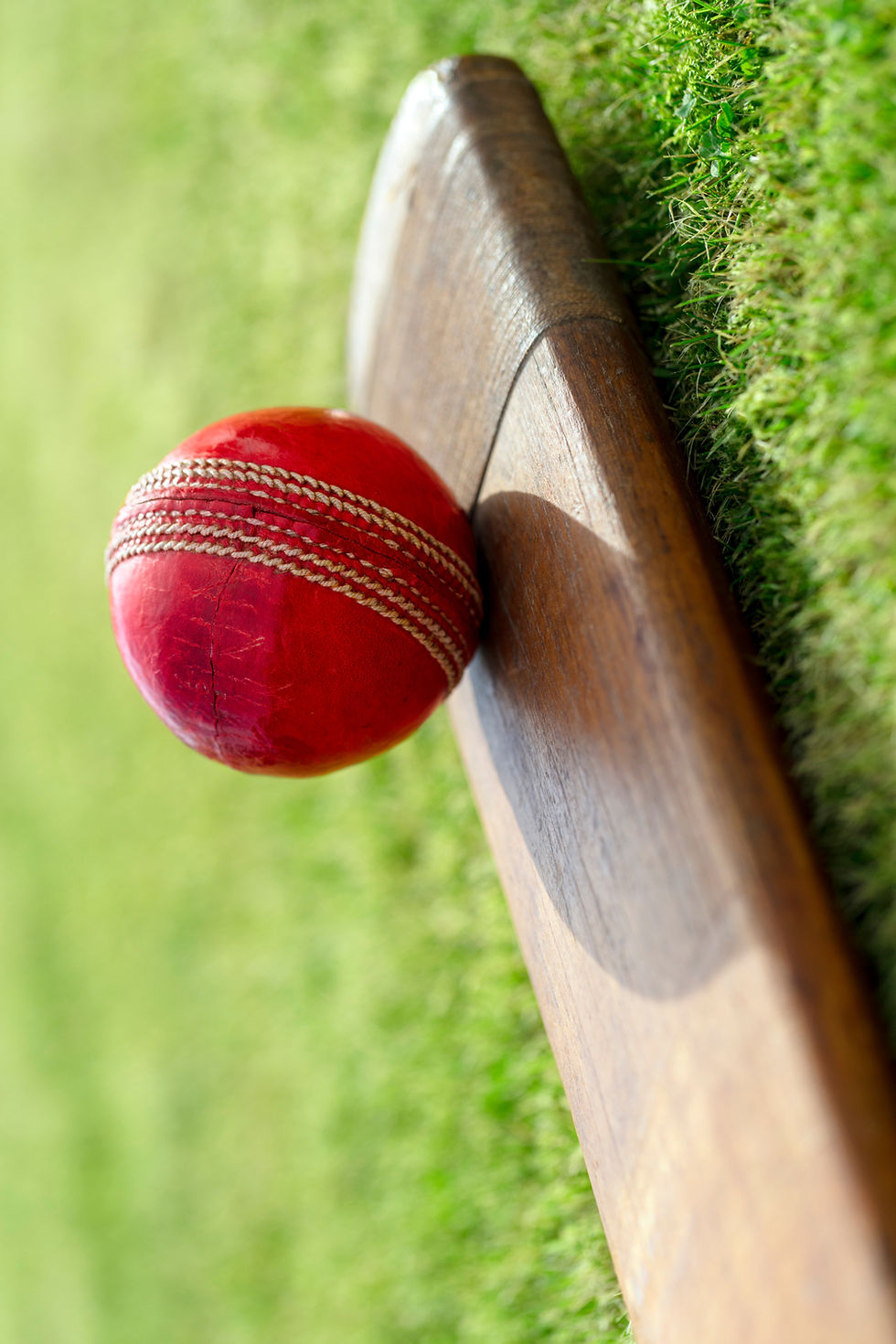 Cricket Bat and Ball_edited.jpg