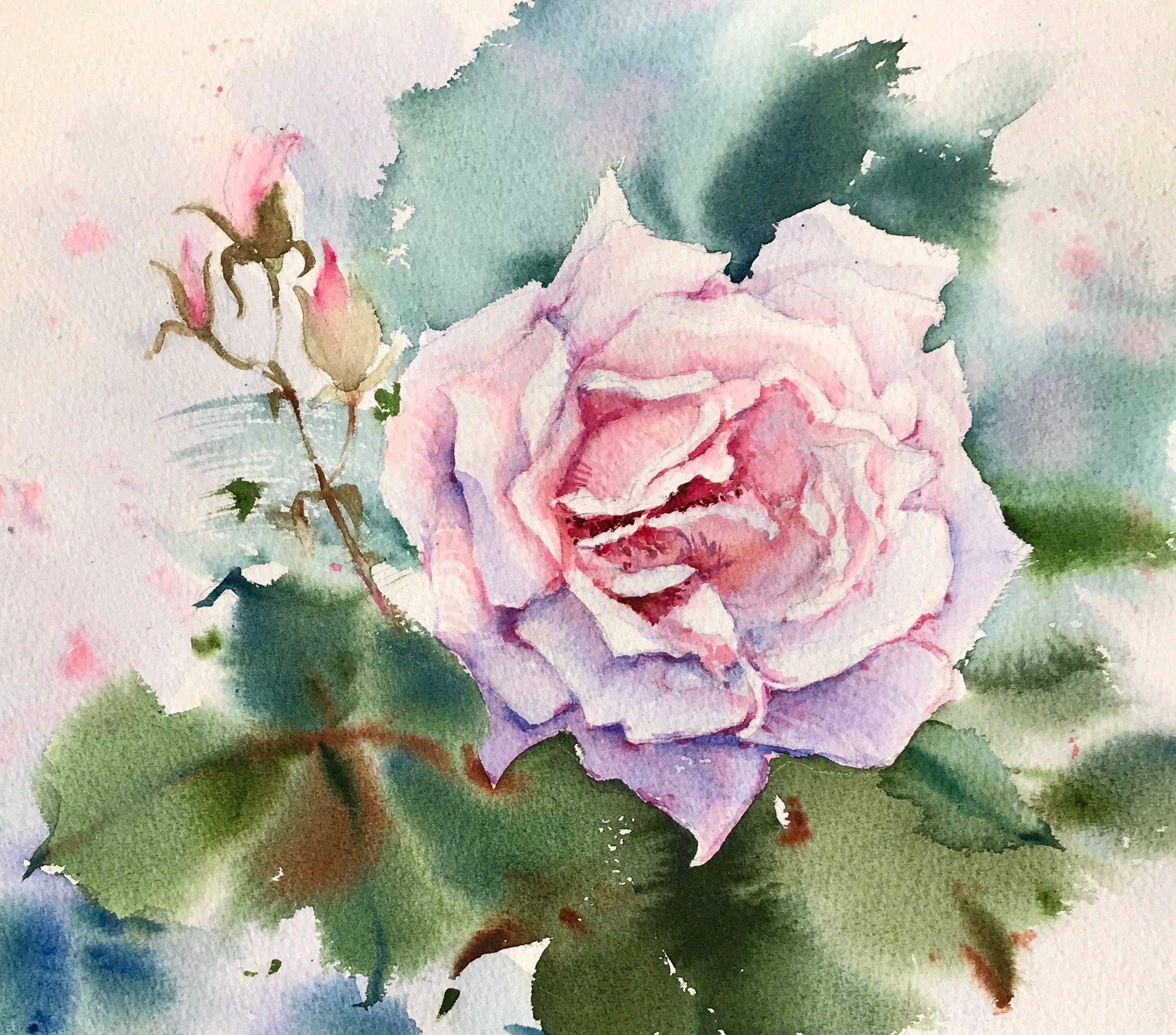 Pink Roses