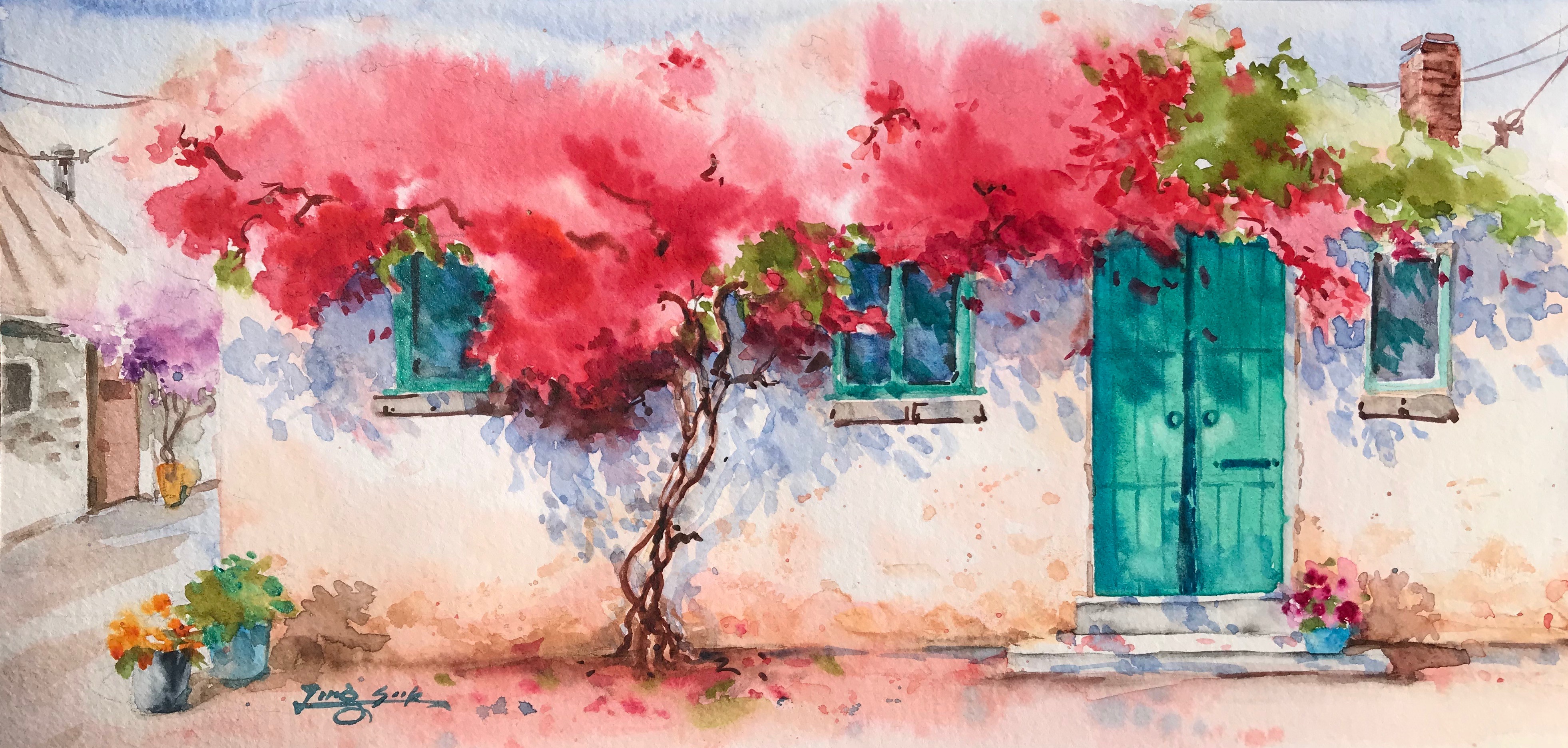 Summer of Bougainvillea