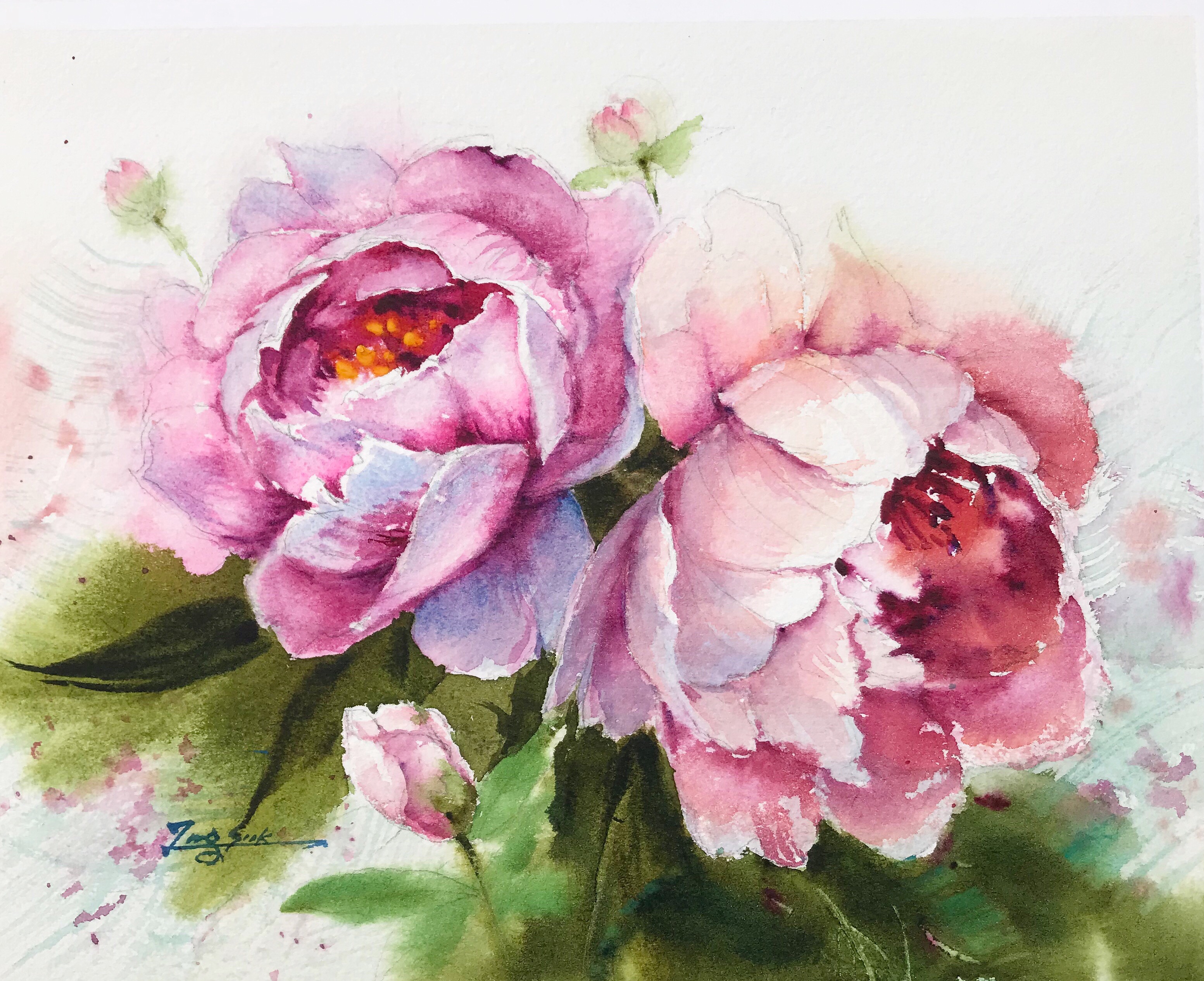 Peonies