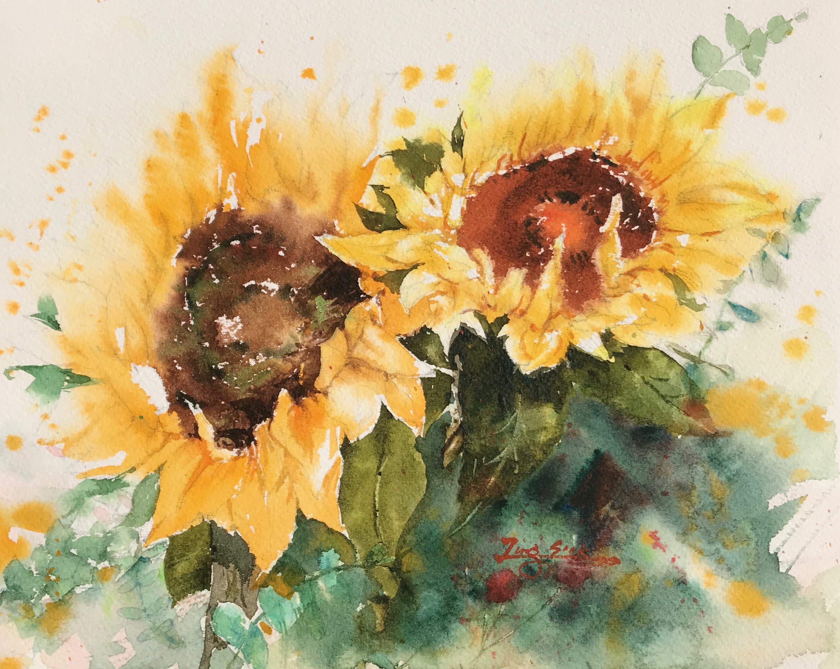 Sunflower