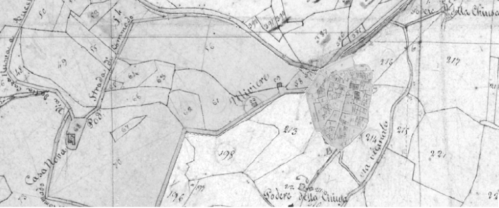 castelmuzio castore_edited.png