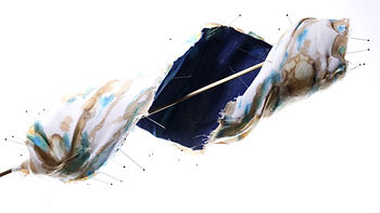 7L8A3712 Edit Spiral.jpg