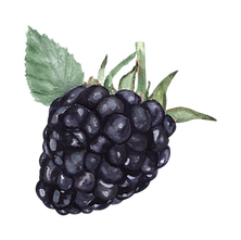 9.png