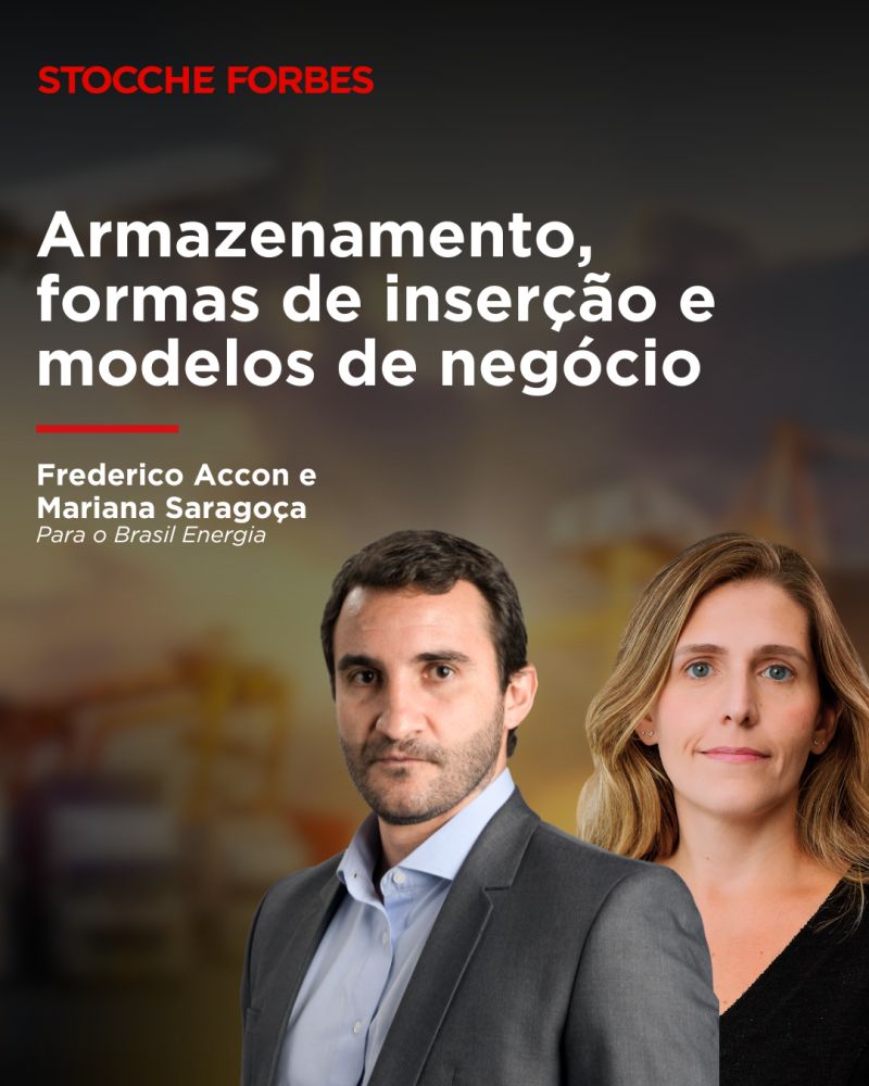 Armazenamento, formas de inserção e modelos de negócio