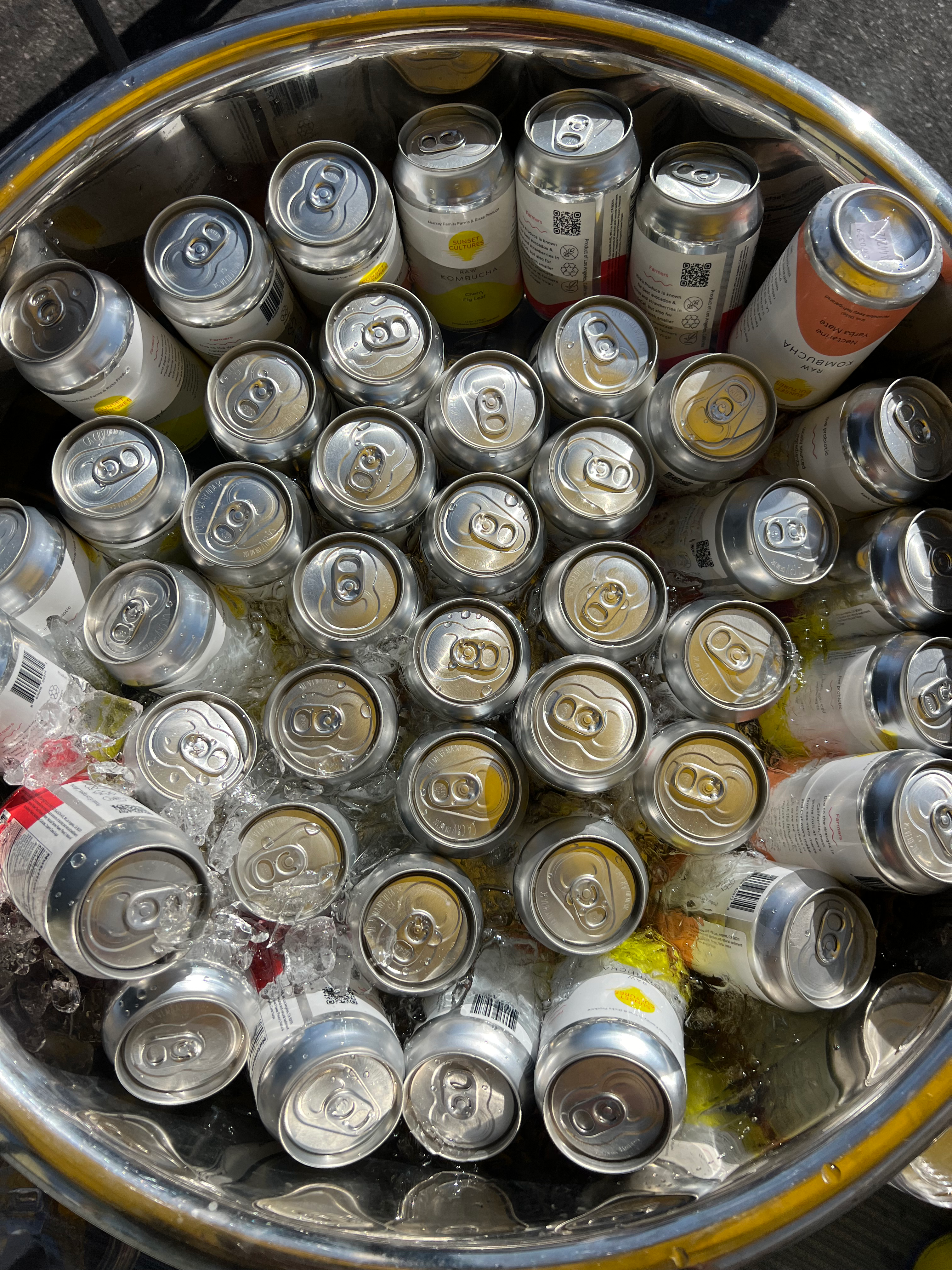 12- Pack Raw Kombucha