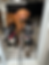 3 dogs sitting at doorway