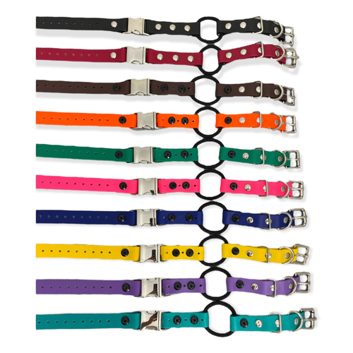 Ecollar biothane strap with bungee and quick release Mountain Spirit K9